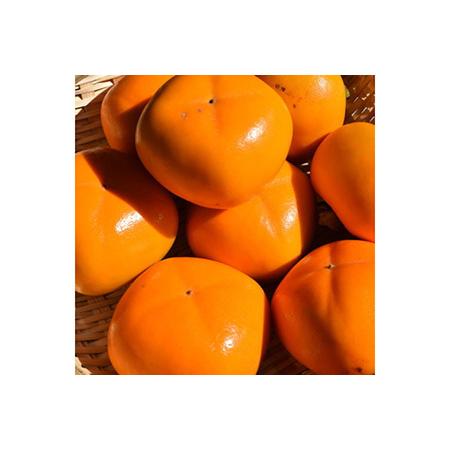 ふるさと納税 【厳選・産直】和歌山産のたねなし柿2L〜4Lサイズ約2kg(化粧箱入り) ※2022年9月下旬頃〜11月上旬頃に順次発送予定 ※離島への.. 和歌山県美浜町|furunavi|02