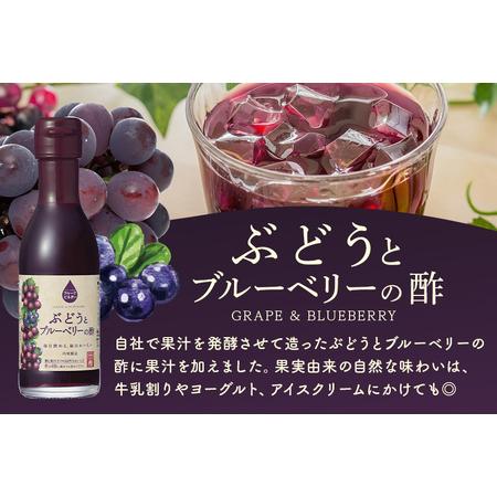 ふるさと納税 内堀醸造 フルーツビネガー飲み比べセット 360ml×3本 果実酢 有機りんご ぶどうとブルーベリー ざくろ 飲む酢 岐阜県八百津町の画像