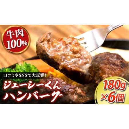 ふるさと納税 【TVで紹介されました】ジューシーくんハンバーグ180g×6