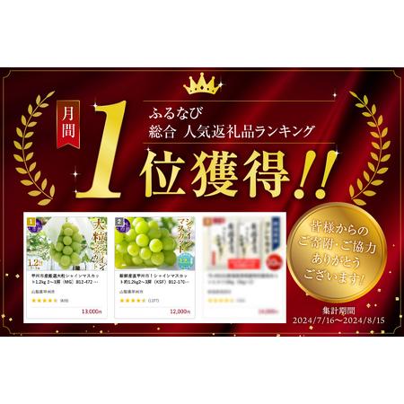 ふるさと納税 甲州市産厳選旬の大粒シャインマスカット 約1.2kg 2〜3房 