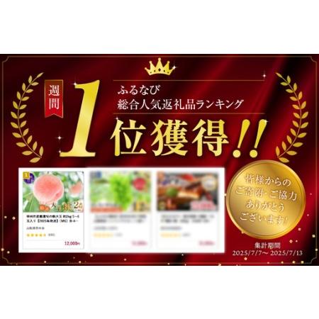 ふるさと納税 甲州市産厳選旬の桃大玉 約2kg 5〜6玉入り【2026年発送】（MG）B-481 もも フルーツ 山梨県甲州市_1