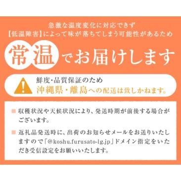ふるさと納税 甲州市産厳選旬の桃大玉 約2kg 5〜6玉入り【2026年発送】（MG）B-481 もも フルーツ 山梨県甲州市_4