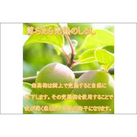 ふるさと納税 紀州南高梅使用 はちみつ梅(塩分8%) 1.5kg（和歌山県産） 和歌山県御坊市｜furunavi｜02