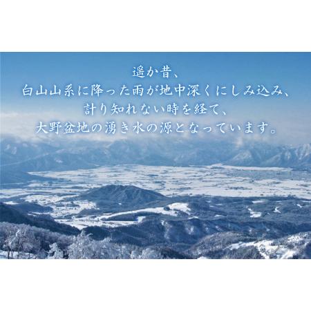 ふるさと納税 【3ヶ月連続お届け】奥越前の水 PET2L×6本 計3回  天然水 天然水 福井県大野市の画像