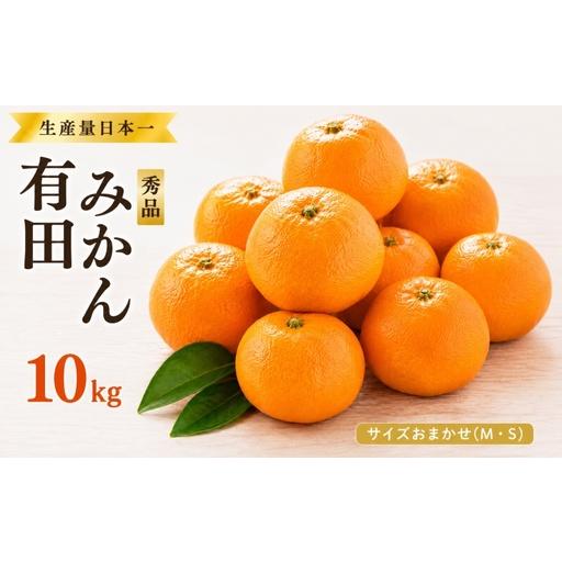 ふるさと納税 紀州 有田 みかん 秀品 10kg サイズおまかせ(L・М・S) / 温州みかん 有田みかん 甘い 高級 和歌山 柑橘 ※2026年11月下旬〜2.. 和歌山県由良町