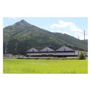 ふるさと納税 国産有機醤油（こい口4本）詰め合わせ[520] 兵庫県多可町_4