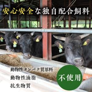 ふるさと納税 Y006 田村牛 至福のお肉お届けコース 鳥取県八頭町