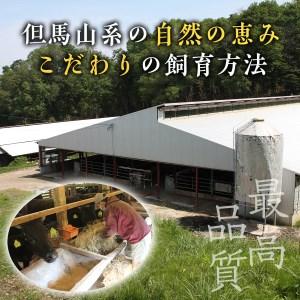 ふるさと納税 Y006 田村牛 至福のお肉お届けコース 鳥取県八頭町