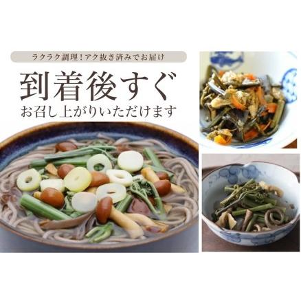 ふるさと納税 SA2891 庄内産 天然わらび (アク抜き済み) 約1.2kg(200g×6束) 山形県酒田市の画像