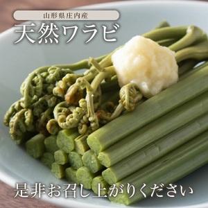 ふるさと納税 SA2891 庄内産 天然わらび (アク抜き済み) 約1.2kg(200g×6束) 山形県酒田市の画像