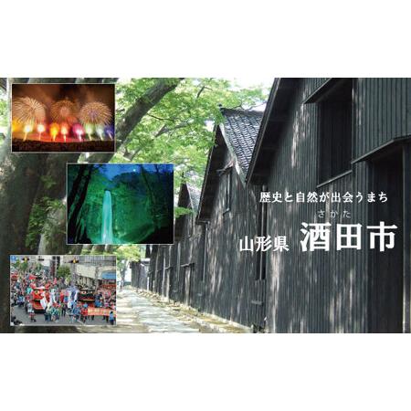 ふるさと納税 SA2891 庄内産 天然わらび (アク抜き済み) 約1.2kg(200g×6束) 山形県酒田市の画像