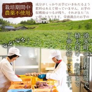 ふるさと納税 鹿児島県産紅はるか使用の冷凍やきいも(3kg) 国産 九州産 サツマイモ さつま芋 紅春香 芋 焼き芋 やきいも焼きいも 野菜 スイー.. 鹿児島県湧水町の画像