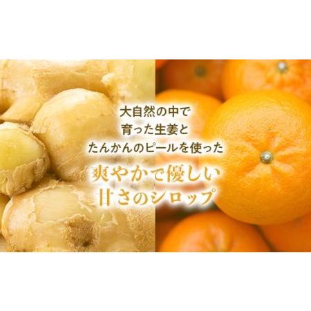 ふるさと納税 屋久島ジンジャーシロップ 小(120ml)×10本セット 鹿児島県屋久島町 