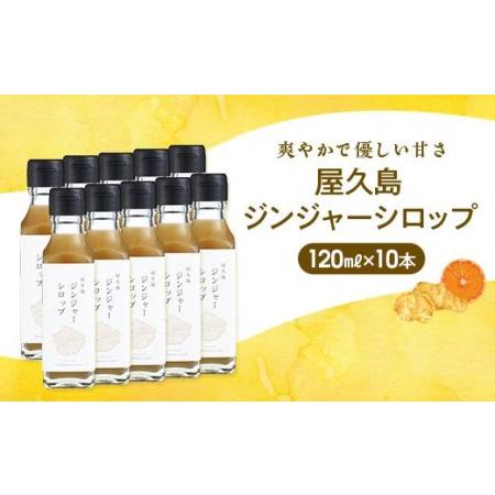 ふるさと納税 屋久島ジンジャーシロップ 小(120ml)×10本セット 鹿児島県屋久島町 