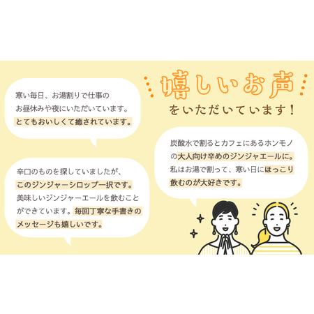 ふるさと納税 屋久島ジンジャーシロップ 小(120ml)×10本セット 鹿児島県屋久島町 