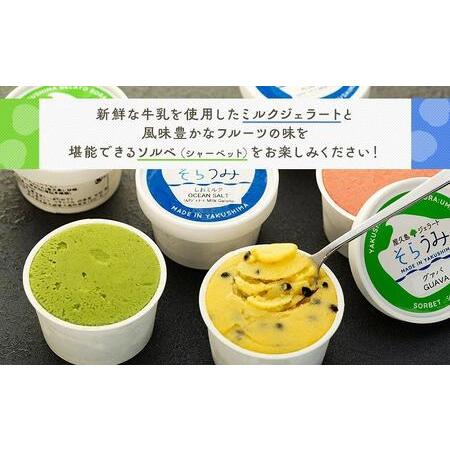 ふるさと納税 手作り ジェラート 6カップ 詰め合わせ セット＜屋久島産の新鮮食材を使用＞ 鹿児島県屋久島町｜furunavi｜02