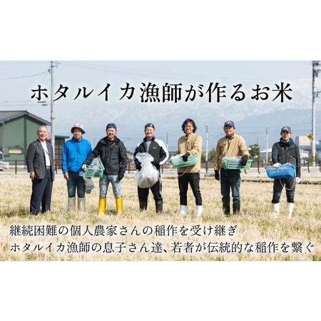 ふるさと納税 【訳あり】ほたるいか米（玄米３０kg）【通年発送】 富山県滑川市の画像
