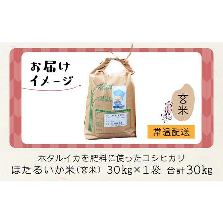 ふるさと納税 【訳あり】ほたるいか米（玄米３０kg）【通年発送】 富山県滑川市の画像