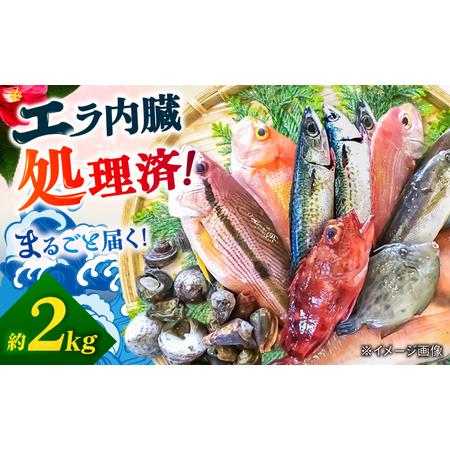 【ハッピードッグ沖縄様】内臓処理済み2ケース(50匹入)　ヒナウズラ700g×2 北海道新ひだか町に、カニの加工場をつくり「浜ゆで海産品」で新たな