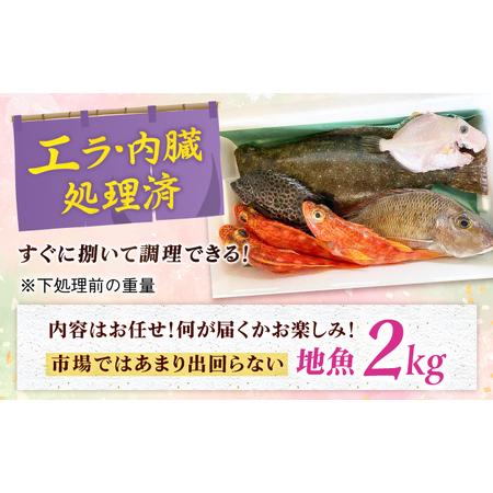 【ハッピードッグ沖縄様】内臓処理済み2ケース(50匹入)　ヒナウズラ700g×2 ふるさと納税 旬の地魚セット2kg（エラ/内臓処理済） 五島市/五島FF