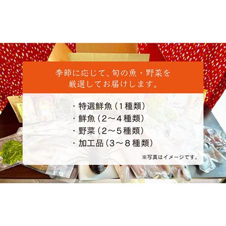 ふるさと納税 五島よかとこ便 特選鮮魚入り 野菜 加工品 おまかせ お楽しみ セット 五島市 / GOTO challenged 椿 [PDU002] 長崎県五島市の画像