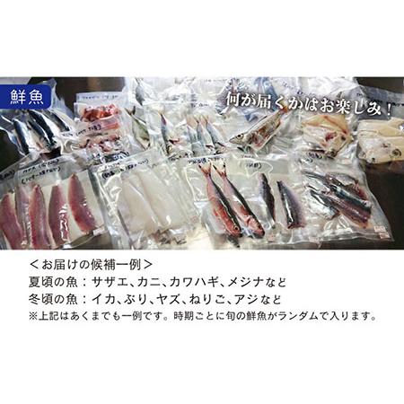 ふるさと納税 五島よかとこ便 特選鮮魚入り 野菜 加工品 おまかせ お楽しみ セット 五島市 / GOTO challenged 椿 [PDU002] 長崎県五島市の画像