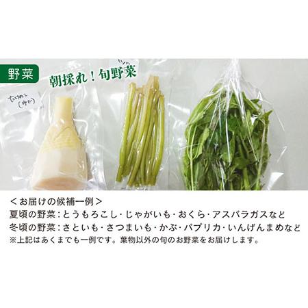 ふるさと納税 五島よかとこ便 特選鮮魚入り 野菜 加工品 おまかせ お楽しみ セット 五島市 / GOTO challenged 椿 [PDU002] 長崎県五島市の画像