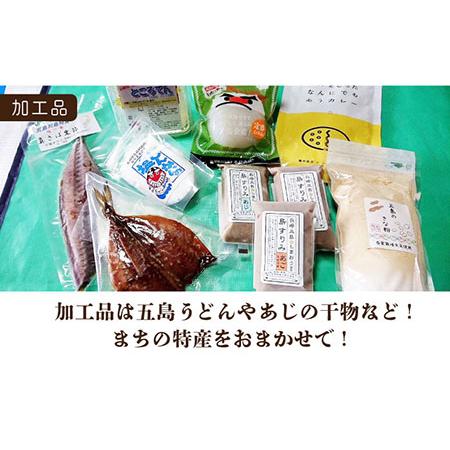 ふるさと納税 五島よかとこ便 特選鮮魚入り 野菜 加工品 おまかせ お楽しみ セット 五島市 / GOTO challenged 椿 [PDU002] 長崎県五島市の画像