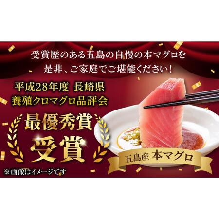 ふるさと納税 本マグロ (養殖) ブロック 詰合せ 1kg 五島市/奥浦 ふるさと納税 本マグロ (養殖) ブロック 詰合せ 1kg 五島市/奥浦