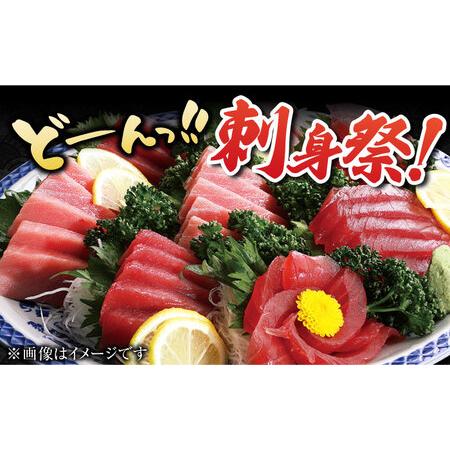 ふるさと納税 本マグロ (養殖) ブロック 詰合せ 1kg 五島市/奥浦 ふるさと納税 本マグロ (養殖) ブロック 詰合せ 1kg 五島市/奥浦