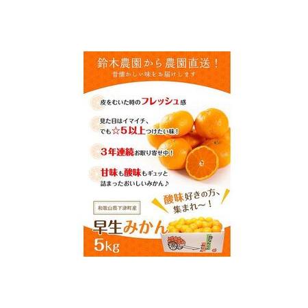 ふるさと納税 早生みかん５kg家庭用混合サイズちょっと訳あり【和歌山県産】鈴木農園から農園直送【北海道・沖縄県・一部離島 配送不可】 和歌山県海南市｜furunavi｜02