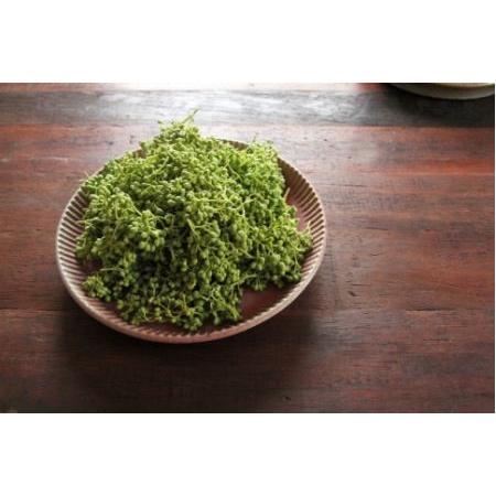 ふるさと納税 【熊野牛】ミスジブロック 500g (粉山椒付) 和歌山県海南市|furunavi|03