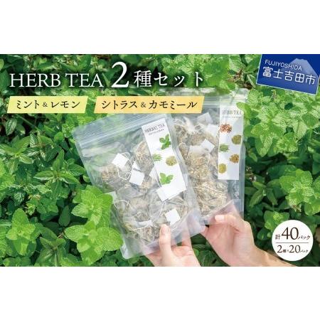 早割クーポン ふるさと納税 ハーブティーセット ミントamp レモン シトラスamp カモミール ティーバッグ個 2種 山梨県富士吉田市