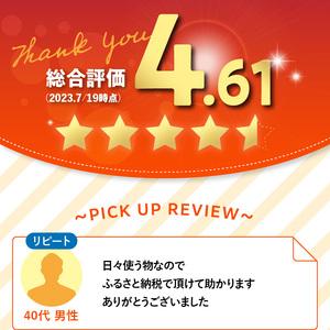 ふるさと納税 R14030　グッと吸い込むキッチンタオル100カット（4ロール×12パック）キッチンペーパー　吸収力に優れたキッチンペーパー　破.. 大分県大分市 