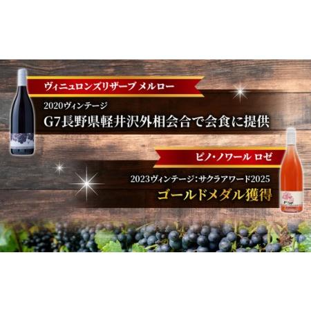 ふるさと納税 【ヴィラデストワイナリー】赤白ブドウ酒4本Ｂ仕かける（ピノ・ノワール、ソーヴィニヨンブラン）赤ワイン白ブドウ酒 長野県東御市