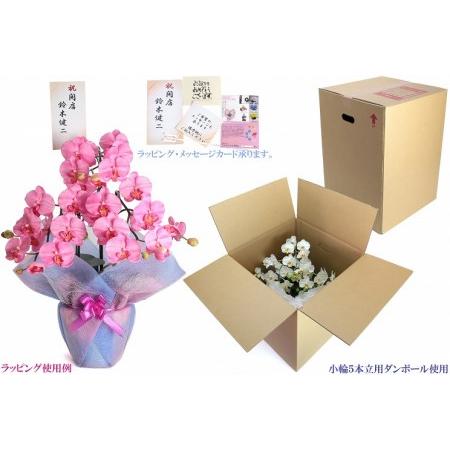 ふるさと納税 綺麗で丈夫な三河陶器で贈る光触媒胡蝶蘭小輪５本立（白の陶器×白色の花）H100-078 愛知県碧南市の画像