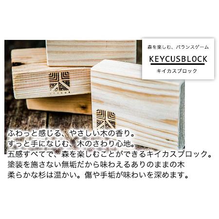 ふるさと納税 熊本県 御船町 キイカスブロック 30個 木のおもちゃ 森のバランスゲーム KEYCUSプロジェクト事務局 國武林業《30日以内に出荷予定(.. 熊本県御船町_1