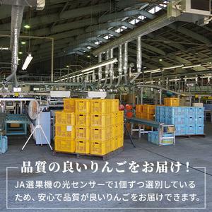 ふるさと納税 信州小諸産 シナノゴールド 家庭用 約10kg 長野県産 果物類 林檎 りんご リンゴ 長野県小諸市｜furunavi｜04