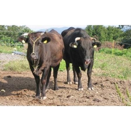 ふるさと納税 A4ランク以上！氷見牛もものすき焼き用肉3130g 富山県 氷見市 すきやき しゃぶしゃぶ 牛 肉 モモ 記念日 富山県氷見市 牛肉