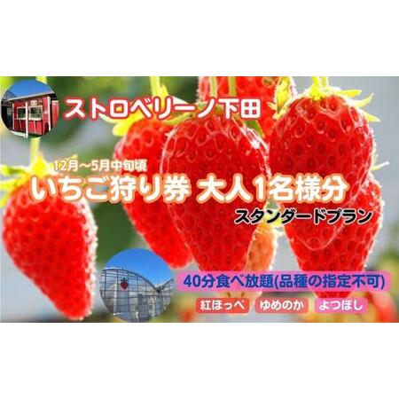 大流行中 ふるさと納税 ストロベリーノ下田いちご狩り券1名様 スタンダードプラン 愛知県日進市 ふるさと納税サイト ふるなび 通販 Yahoo ショッピング 独創的 Sipeka Smknpuspahiang Sch Id