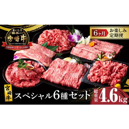 ふるさと納税 6か月お楽しみ定期便『宮崎牛スペシャル6種セット』総重量4.6kg 肉 牛 牛肉 焼肉 国産_T009-002[人気 肉 ギフト 肉 食品 お肉 し.. 宮崎県都農町