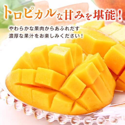 ふるさと納税 【先行予約】宮崎県産完熟マンゴー3L×2個 西都市特産品