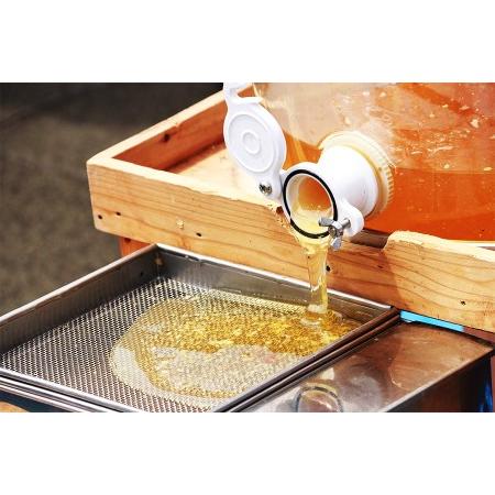 ふるさと納税 2025年採蜜 とみやはちみつ 120g×3個セット｜令和7年