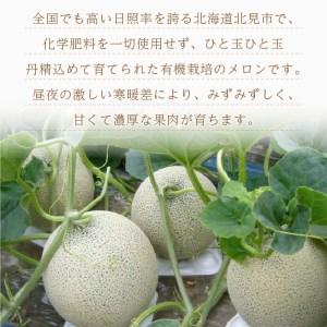 ふるさと納税 河北町 ※2025年発送※【令和7年産】メロンからはじまる旬