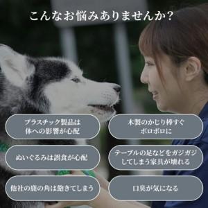 ふるさと納税 鹿の角 犬のおもちゃ ペット用 Lサイズ ( ペット おもちゃ 鹿 角 )【079-0015】 北海道北見市_1