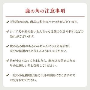 ふるさと納税 鹿の角 犬のおもちゃ ペット用 Lサイズ ( ペット おもちゃ 鹿 角 )【079-0015】 北海道北見市_4