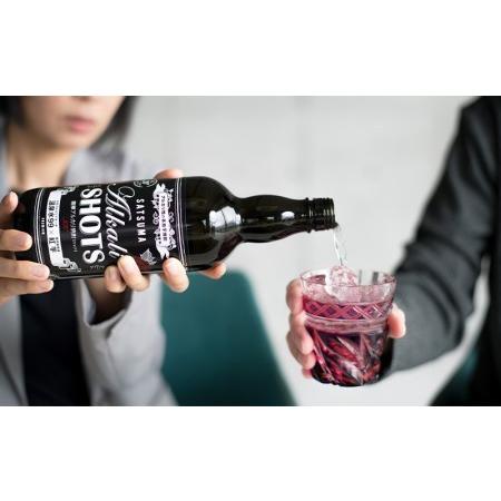 ふるさと納税 B2-0834／温泉水と紅芋で作った芋焼酎「薩摩アルカリ焼酎（4合）」6本セット 鹿児島県垂水市 薩摩アルカリ焼酎 4合