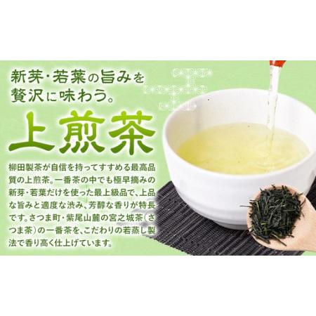 ふるさと納税 若蒸煎茶 上煎茶 セット 水出しボトル ハリオ 80g 柳田製茶《30日以内に出荷予定(土日祝除く)》鹿児島県 さつま町 ティーパッ.. 鹿児島県さつま町