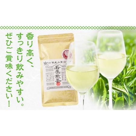 ふるさと納税 若蒸煎茶 上煎茶 セット 水出しボトル ハリオ 80g 柳田製茶《30日以内に出荷予定(土日祝除く)》鹿児島県 さつま町 ティーパッ.. 鹿児島県さつま町