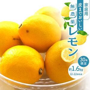 ふるさと納税 皮まで美味しい無農薬レモン 家庭用1.6kg[栽培期間中農薬不使用] 広島県尾道市